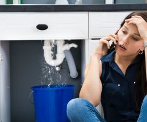 About Water Leak Detection Pros Manton, MI